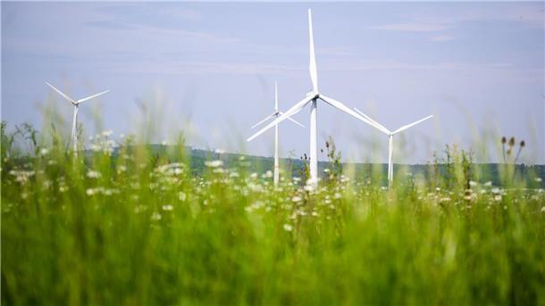 Verzögerungen verteuern Energiewende um Milliarden Im Norden Deutschlands wird mehr Ökostrom produziert als verbraucht, im Süden ist es umgekehrt.