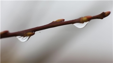 Im Oberharz kann das Thermometer nachts auch unter den Gefrierpunkt fallen. (Symbolbild) 