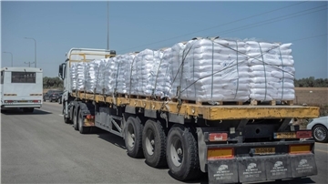Im Rahmen der Waffenruhe-Vereinbarung sollen pro Tag 600 Lkw mit Hilfsgütern in den Gazastreifen kommen. (Archivbild)