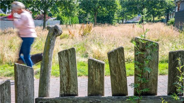 Warum es auf Grünstreifen in Bremerhaven wild aussieht Im Schierholzgebiet dient eine neue „wilde“ Fläche als Lebens- und Nahrungsquelle.