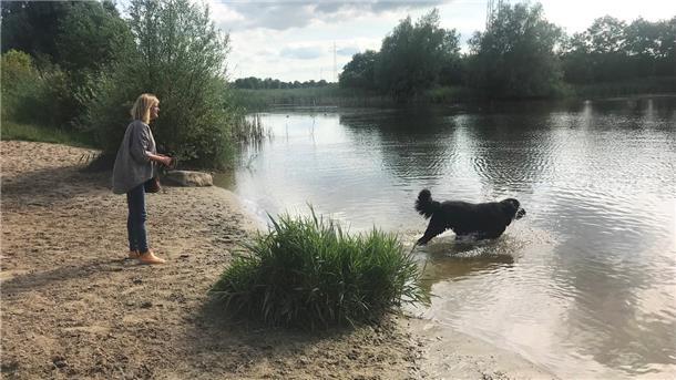 Im Seenpark III dürfen Hunde frei laufen - und auch ins Wasser (Archivbild) . Daran soll sich nichts ändern.