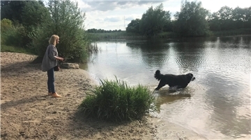 Im Seenpark III dürfen Hunde frei laufen - und auch ins Wasser (Archivbild) . Daran soll sich nichts ändern.