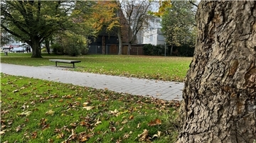 Der Stadtpark Lehe.