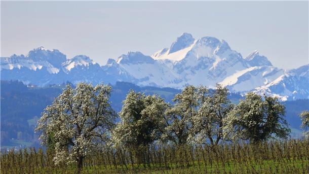 Sehr warmes Wetter in Deutschland - bis zu 31 Grad möglich Im Süden Deutschland wird es sonnig und warm.
