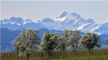 Im Süden Deutschland wird es sonnig und warm.