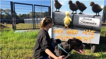 Im Tierheim Bremerhaven sind alle Tiere willkommen.