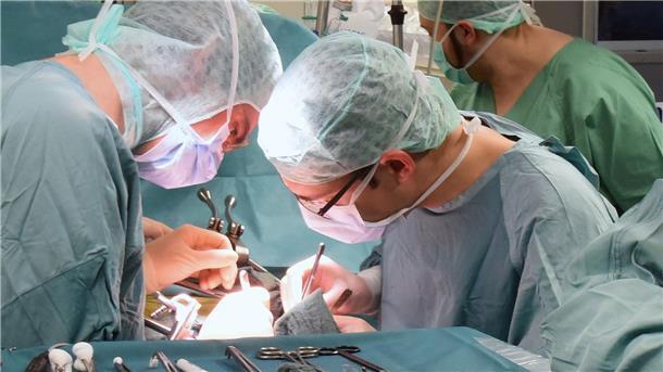 Ministerium prüft Einführung von Überkreuz-Nierenspenden Im Transplantationszentrum am Leipziger Universitätsklinikum wird eine Niere beim Empfänger transplantiert.
