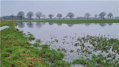 Wiese unter Wasser