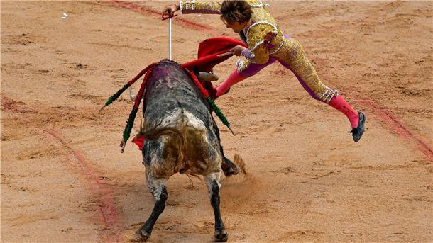 Im Verlauf des neuntätigen San Fermín-Festes in Pamplona werden 48 Bullen getötet.