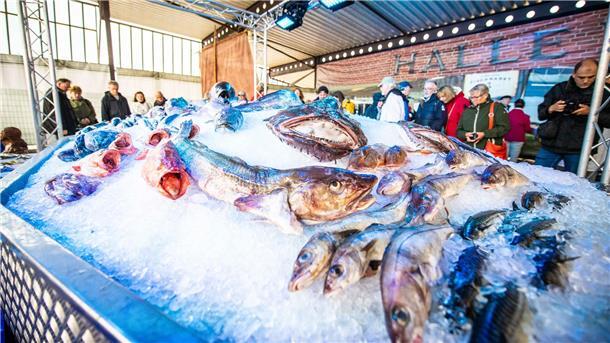 Auf diese Events in Bremerhaven können Sie sich 2024 freuen Fischparty