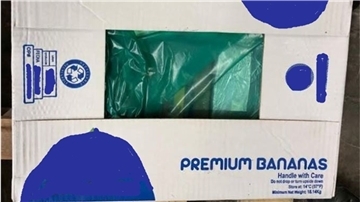 In Bananenkartons sollten 1,4 Tonnen Kokain eingeschmuggelt werden.