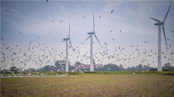In Beverstedt sollen weitere Windparks entstehen. Das Foto zeigt Windräder in Misselwarden.