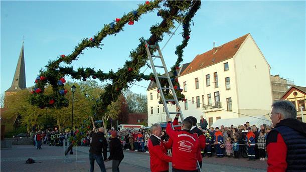 Ein Maibaum wird aufgestellt.