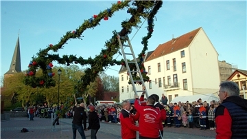 Ein Maibaum wird aufgestellt.