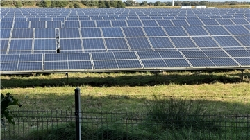 In Buchholz soll ein Solarpark gebaut werden. Baubeginn dafür ist voraussichtlich im kommenden Jahr. (Symbolbild)