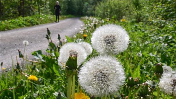 Barcode für Informationen und die Anmeldung zum "Chaircamp" des Kirchenkreises Wesermünde