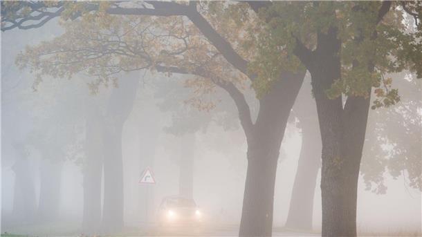 In den allermeisten Ecken Deutschlands bleibt es auch in den kommenden Tagen weitgehend trüb, etwas Hoffnung auf Sonne gibt es für den Südwesten. 