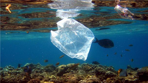 In den Ozeanen schwimmt jede Menge Plastik. 