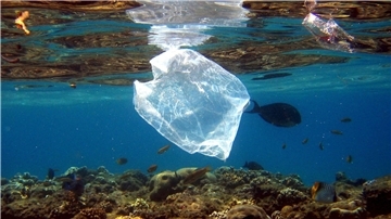 In den Ozeanen schwimmt jede Menge Plastik. 