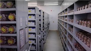 In den Saatgutkammern der Millennium Seed Bank in West Sussex lagern mehr als 2,4 Milliarden Pflanzensamen.