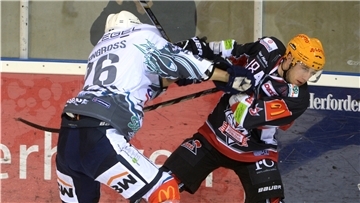 In der DEL2 gab es immer wieder heiße Duelle zwischen den Pinguins und den Bietigheim Steelers. Zweimal traf man sich im Finale im Kampf um den DEL2-Titel.