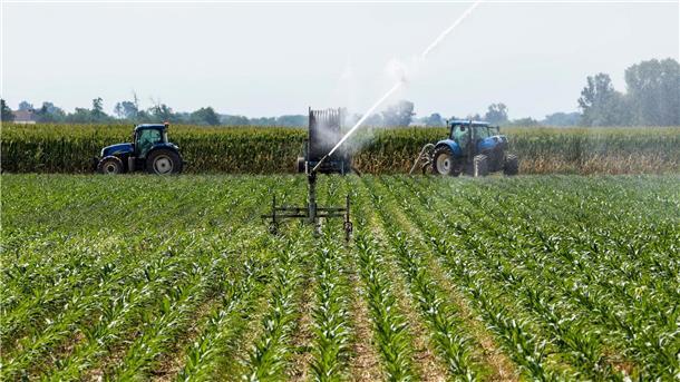Erntehelfer verblutet nach Unfall auf italienischem Feld In der italienischen Landwirtschaft sind nach Schätzungen etwa 230.000 Menschen illegal beschäftigt, darunter viele Migranten.