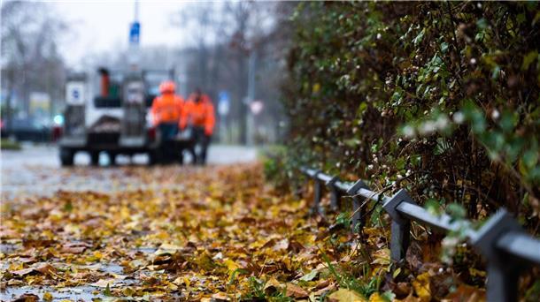 Herbst-Schmuddelwetter zum Wochenstart In der kommenden Woche soll es laut DWD mehrere regnerische Herbsttage geben. (Symbolbild)