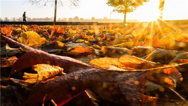 Milder Herbst – Sonne und Wolken am Wochenende In der Nacht zu Samstag ist auch Bodenfrost möglich. (Archivfoto)