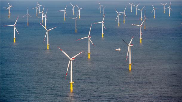 Windräder stehen im Wasser.