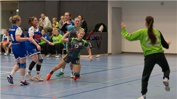 VfL Sittensen
