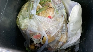 Bioabfall in der Biotonne