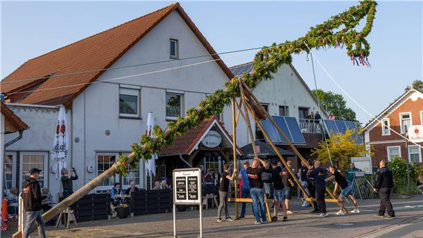 In Eckwarden klappte das Aufstellen des Pfingstbaumes wie am Schnürchen.