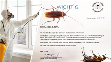 In einem Elternbrief informierte die Schulleitung der Lutherschule über den Kakerlaken-Befall und bat darum, auf Panikmache zu verzichten. 