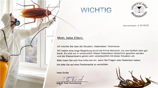 In einem Elternbrief informierte die Schulleitung der Lutherschule über den Kakerlaken-Befall und bat darum, auf Panikmache zu verzichten. 