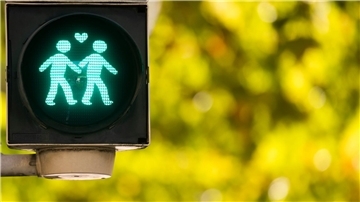 In Hannover wurden schon vor fünf Jahren Ampeln mit homosexuellen Pärchen installiert. (Archivbild)