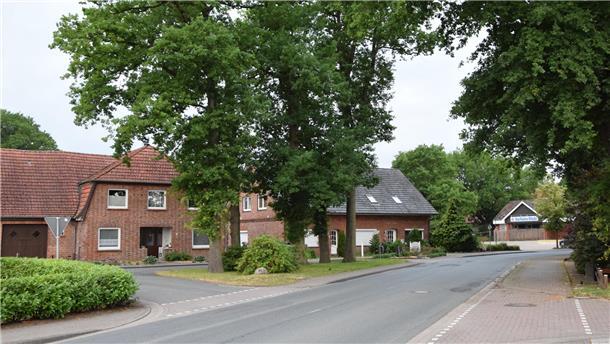 In Höhe der Einmündungen zum Feuerhörn und zur Friedhofstraße ist auf der Landesstraße eine Querungshilfe vorgesehen. Allerdings müssen für den Ausbau der Kreuzung vier oder sogar alle fünf Eichen auf der "Insel" an der Friedhofstraße fallen.