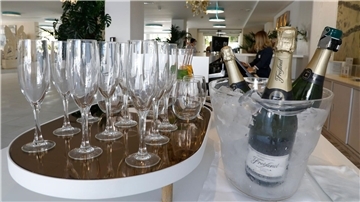 In Katalonien verdorren Weinreben - es ist zu trocken. Freixenet zieht nun Konsequenzen.
