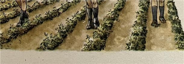 An der Heimatfront war der Kartoffelkäfer der Feind In Kolonnen zogen nicht nur Kinder über die Äcker, um Kartoffelkäfer einzusammeln und zu töten. Diese Illustration stammt aus der Kartoffelkäferfibel, die der Wilstedter Hans-Werner Behrens jetzt wiedergefunden hat. Er selbst musste diese Arbeit ab 1942 auch machen.