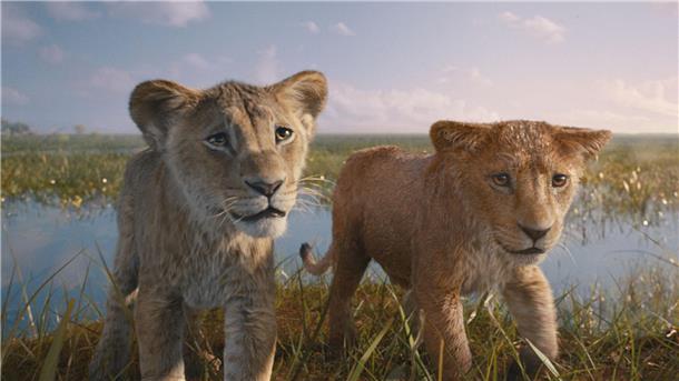 Neuer Disney-Film: Wie Mufasa zum König der Löwen wurde In „Mufasa: Der König der Löwen“ geht es um die Vorgeschichte des Disney-Originals von 1994.