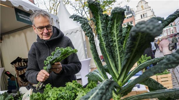 Grünkohlsaison in Niedersachsen gestartet - Preise steigen In Oldenburg wird der Beginn der Grünkohlsaison traditionell groß gefeiert.