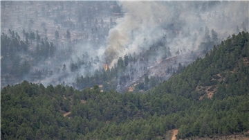 Groß-Waldbrand in Spanien zerstört über 4000 Hektar In San Agustín brennt der Wald.