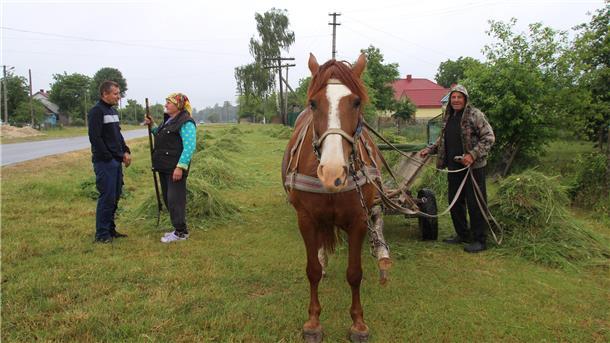 Die Kirchengemeinde Rhade zwischen den Cookinseln und der Ukraine In Tsuman herrscht bei der Landwirtschaft noch Pferdestärke.