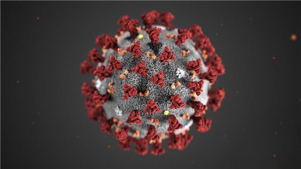Innerhalb von drei Wochen ist die Zahl der Corona-Infektionen in der Wesermarsch um fast das Zweieinhalbfache gestiegen.