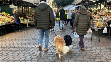 Ist das Häufchen per DNA-Abgleich erstmal identifiziert, könnte das in Bozen für Hundebesitzer bald sehr teuer werden.