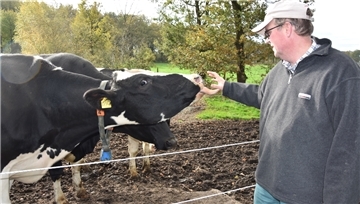Das Bild zeigt Jan Kaiser mit drei Kühen. 