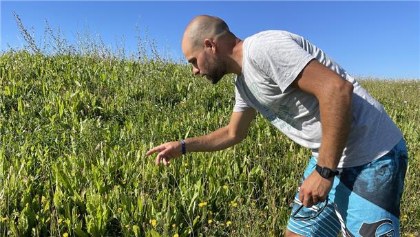 Jan-Michael Schönebeck sieht sich die Stelle des Vordeichs an, an der besonders viel wächst. Diese Art der Vegetation ist für die Artenvielfalt gut, verliert aber Punkte in der Disziplin Küstenschutz.