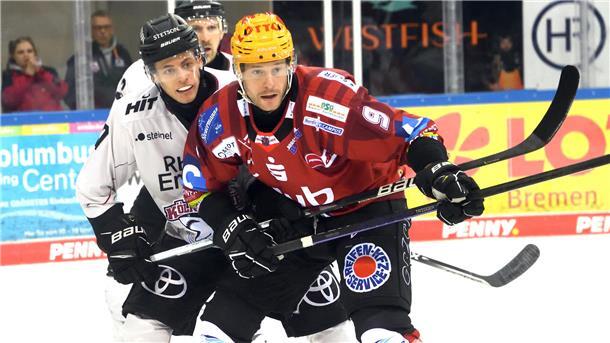 Pinguins verlieren überlegen geführtes Spiel gegen die Haie nach Verlängerung Jan Urbas (hier gegen Justin Schütz) kam nicht so gut zum Torabschluss wie gewohnt. Foto: