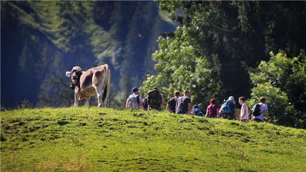 Sommer, Sonne, Strand – die beliebtesten Reiseziele Jeder sechste Inlandstourist aus Deutschland reiste nach Bayern. (Archivbild)
