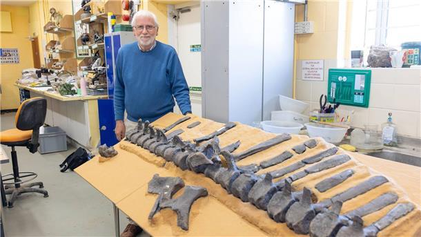 Dinosaurier mit Hautsegel entdeckt Jeremy Lockwood mit Fossilien von Istiorachis macarthurae