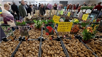 Jetzt ist die beste Zeit, um Blumenzwiebeln im Garten auszubringen. Dann erfreuen diese den Betrachter bereits früh im kommenden Jahr mit ihren vielen bunten Blüten.